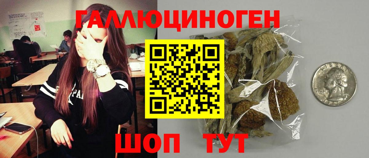 Галлюциногенные грибы GOLDEN TEACHER  Вход с VPN  закладка  Псилоцибиновые грибы Cubensis  Шуя 